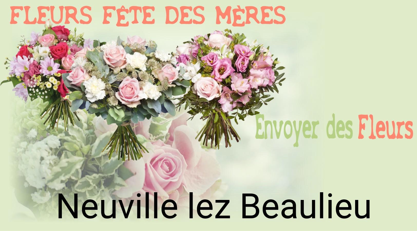 Bouquet de Fête des Mères livré à Neuville-lez-Beaulieu